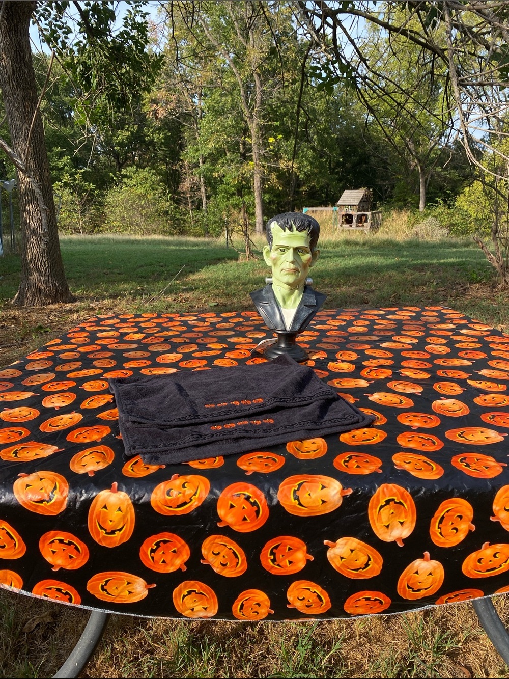 Moonlight Manor Frankenstein LED Bust, 2 Pumpkin Hand Towels, Round Tablecloth
